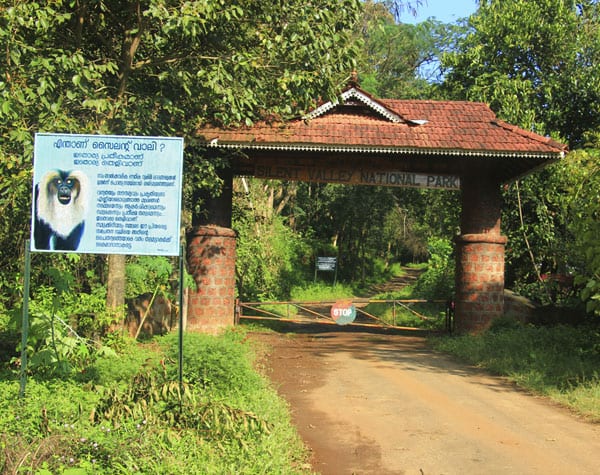 Sairandhri Jeep Safari (2 Persons) at Silent Valley National Park