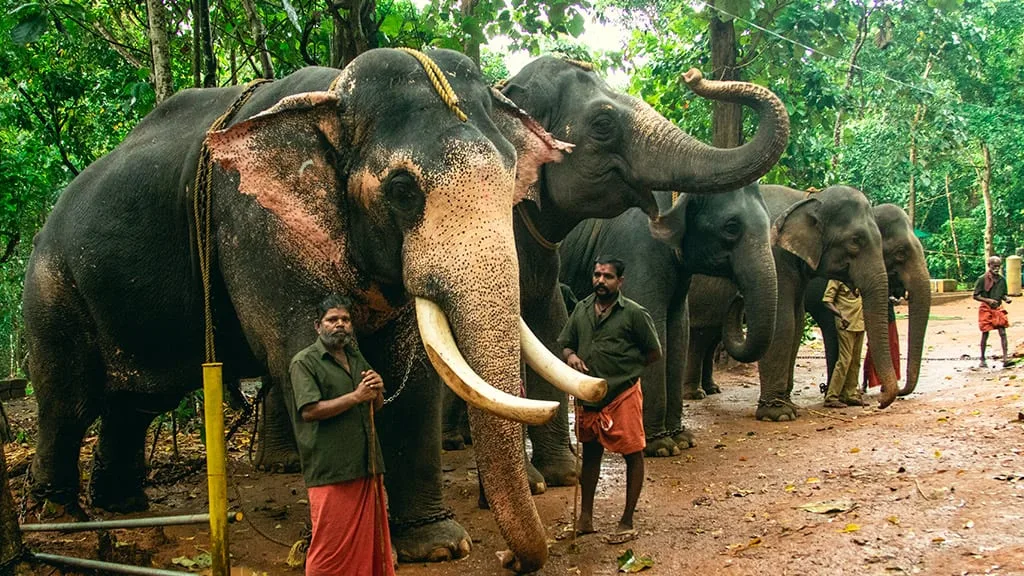 Zoo at Abhayaranyam