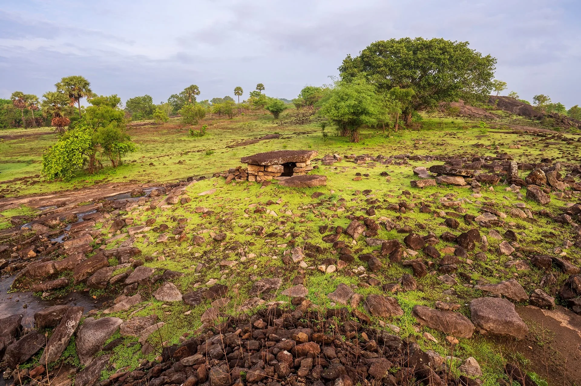 Anadiyanpara Trekking at Chulannur