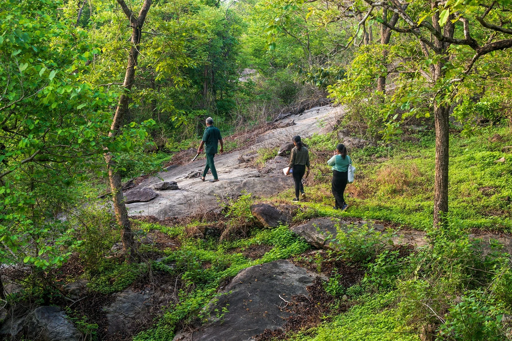 Anadiyanpara Trekking at Chulannur - Photo 3