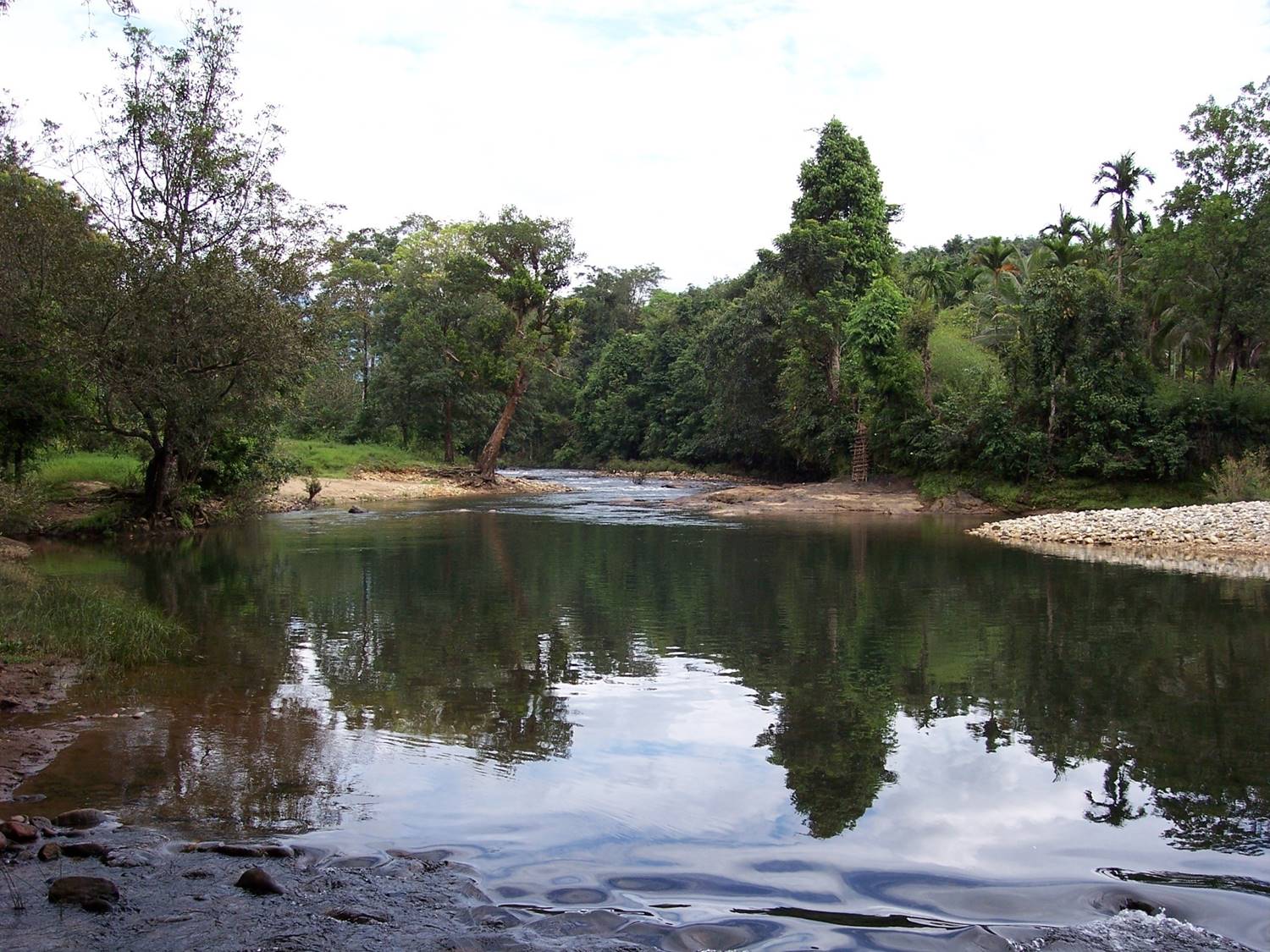 Aralam Ecotourism- Trekking and Off-Road Drive at Aralam WL Sanctuary - Photo 4