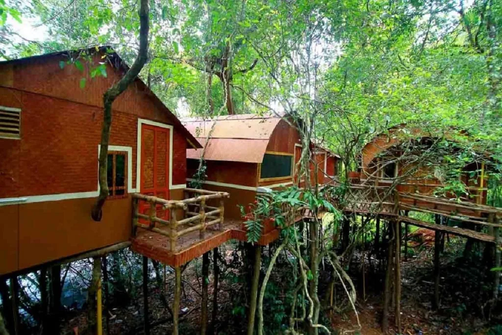 Adavi Peruvally Tree Top Bamboo Hut at Eco Tourism Konni (Anathavalam)