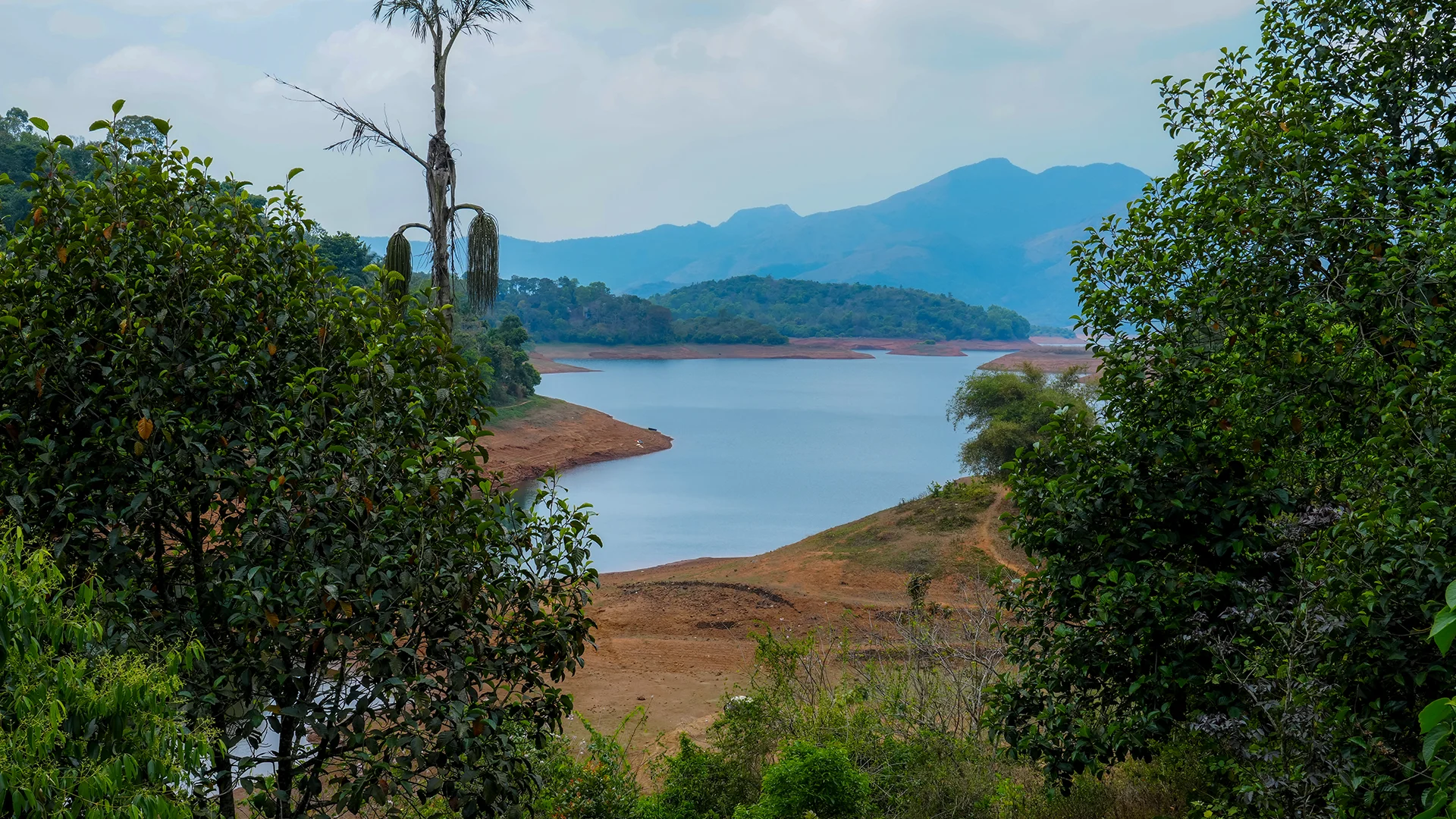 Banasura Hills