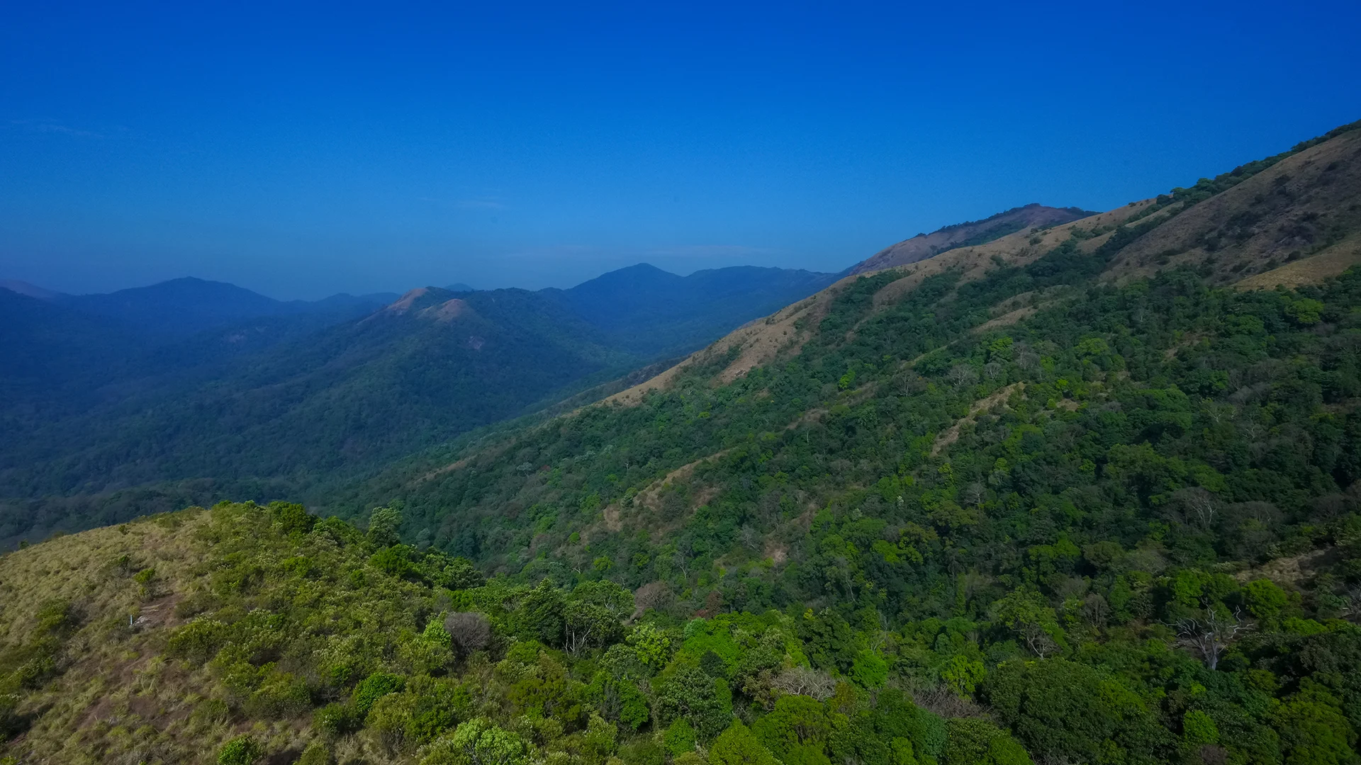 Brahmagiri Hills