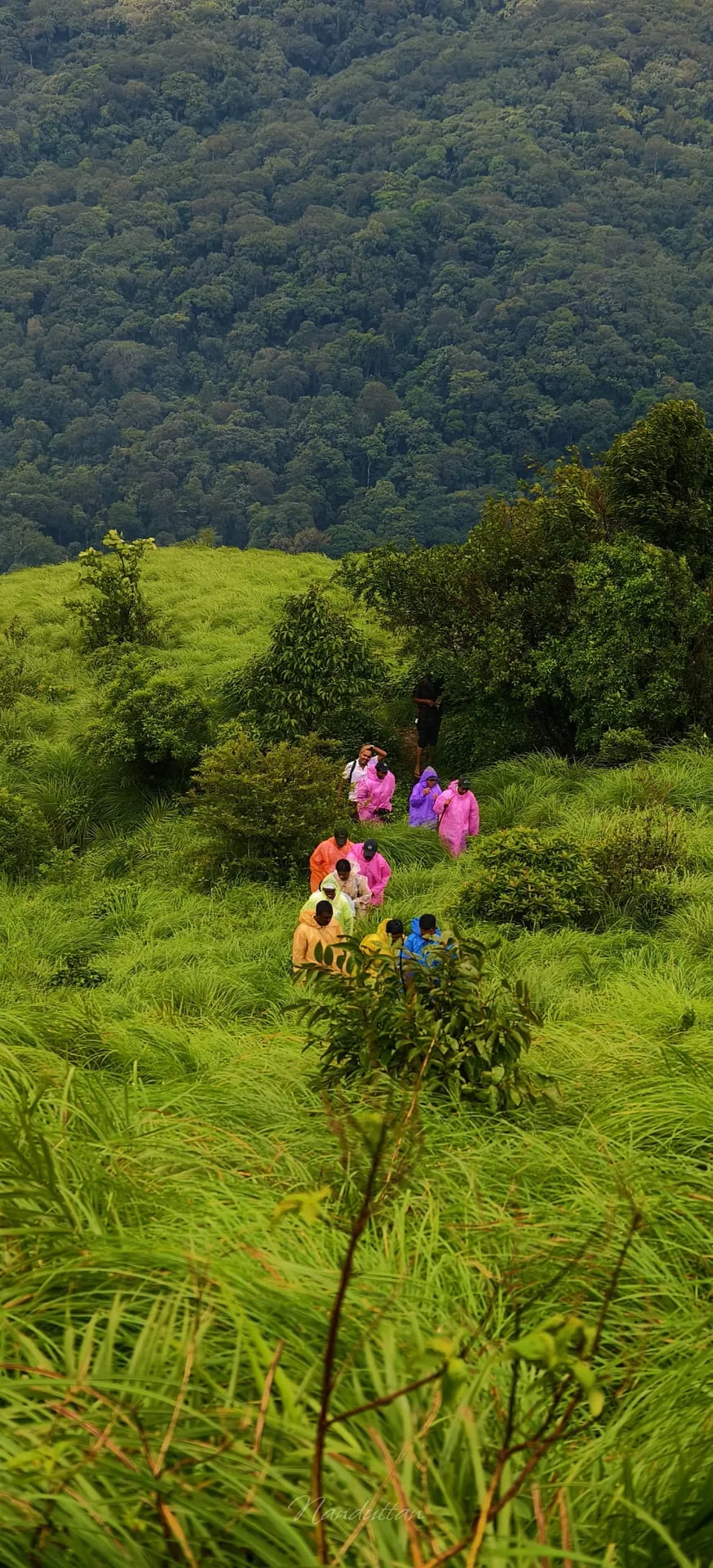 Brahmagiri Peak Trekking at Brahmagiri
