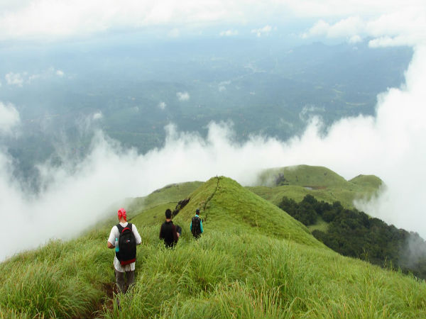CHEMBRA PEAK TREKKING at Chembra Peak