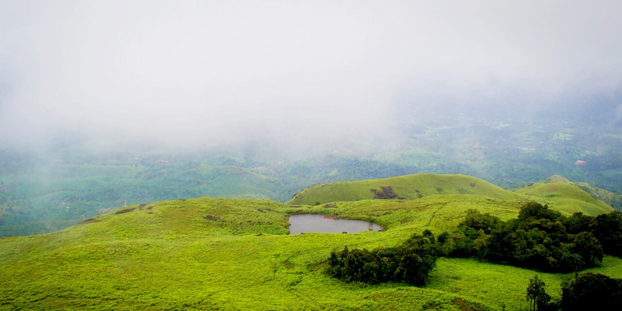 CHEMBRA PEAK TREKKING at Chembra Peak - Photo 2