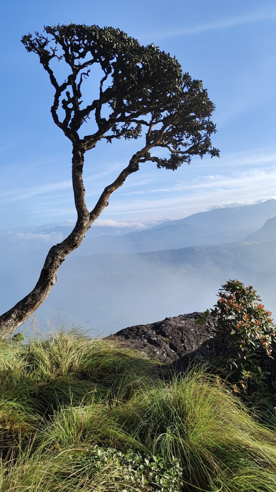 Bison Trail Trekking at Chokramudi - Photo 6