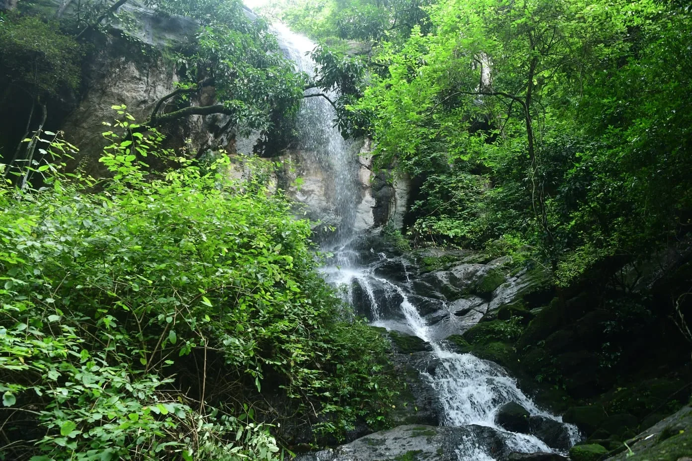 Virakuthodu-Choorathala Trekking at Chimmony