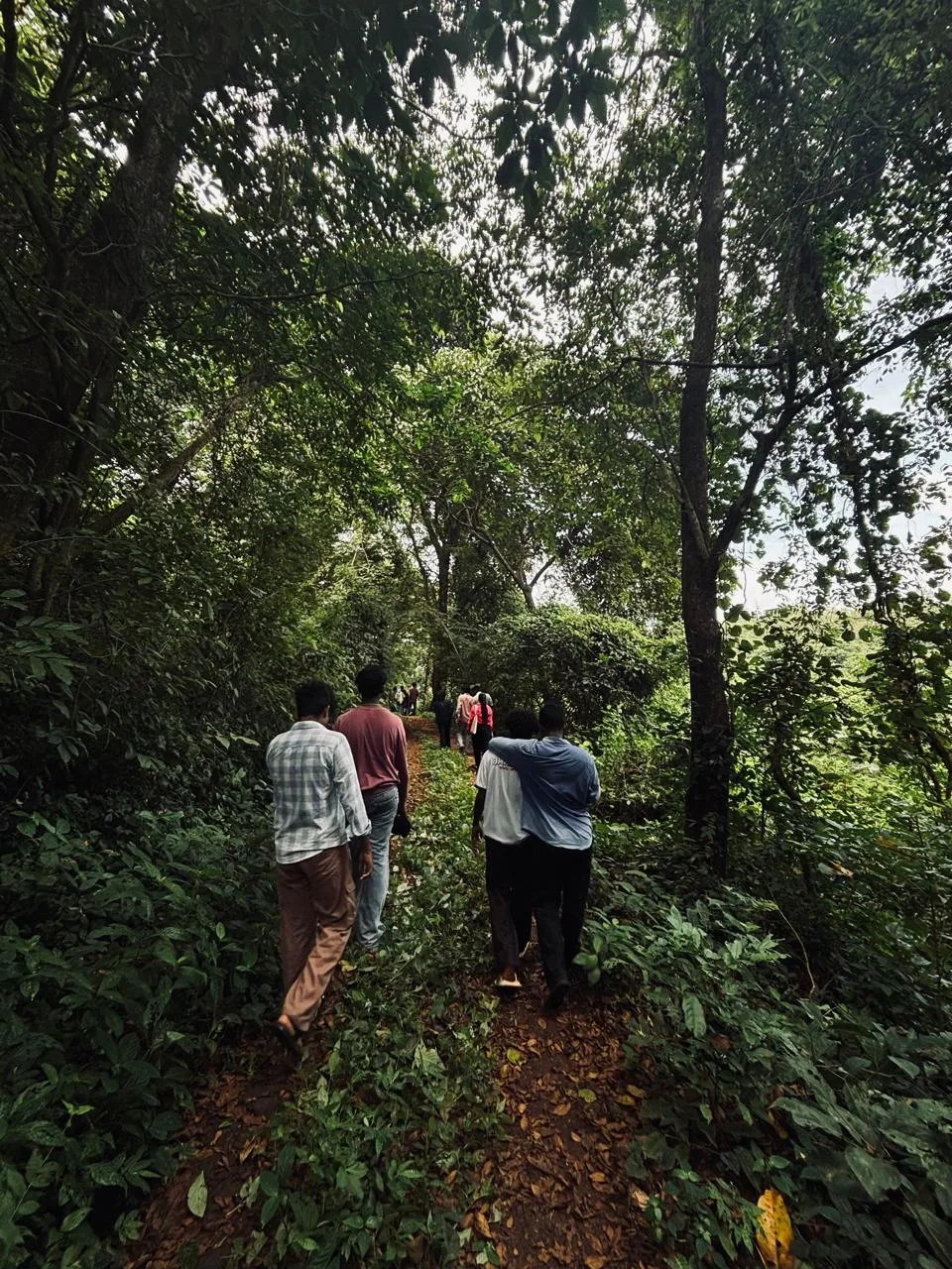 Virakuthodu-Choorathala Trekking at Chimmony - Photo 2