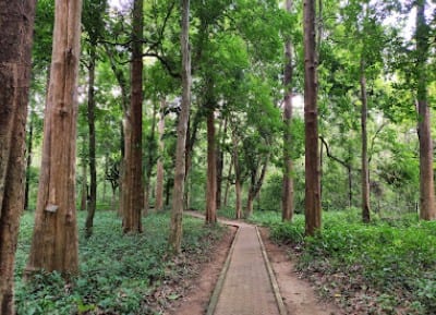 Conolly Ecotourism at Conolly