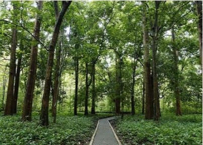 Conolly Ecotourism at Conolly - Photo 3