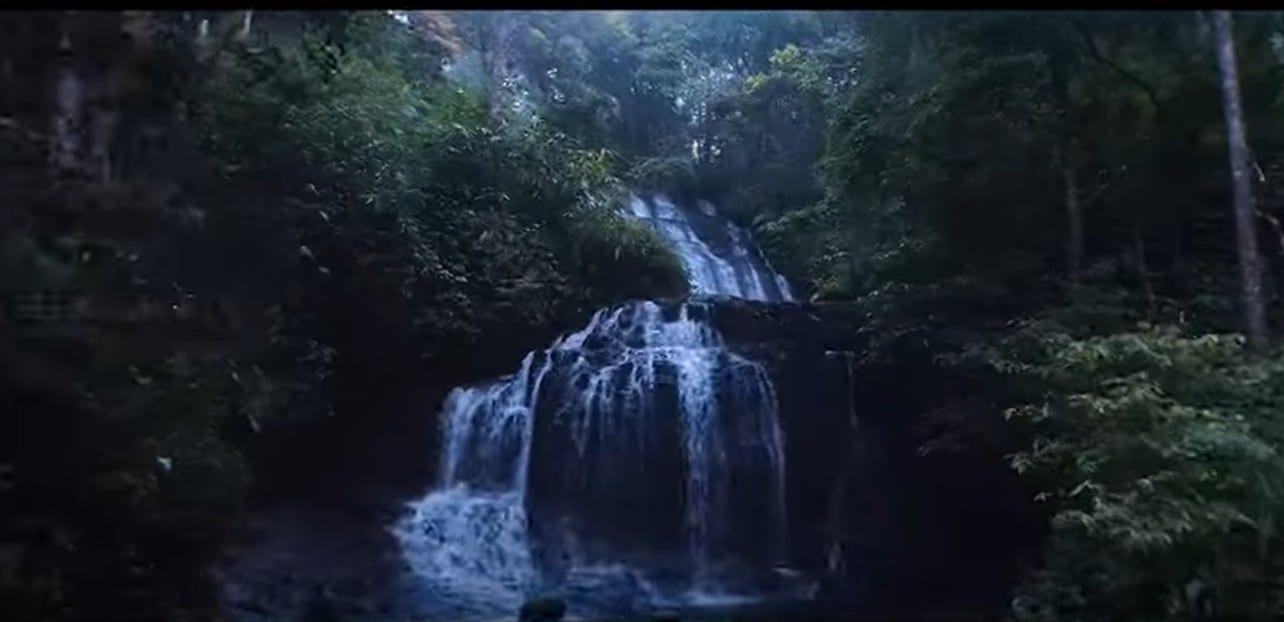 Gavi - Pristine Forrests and Wildlife