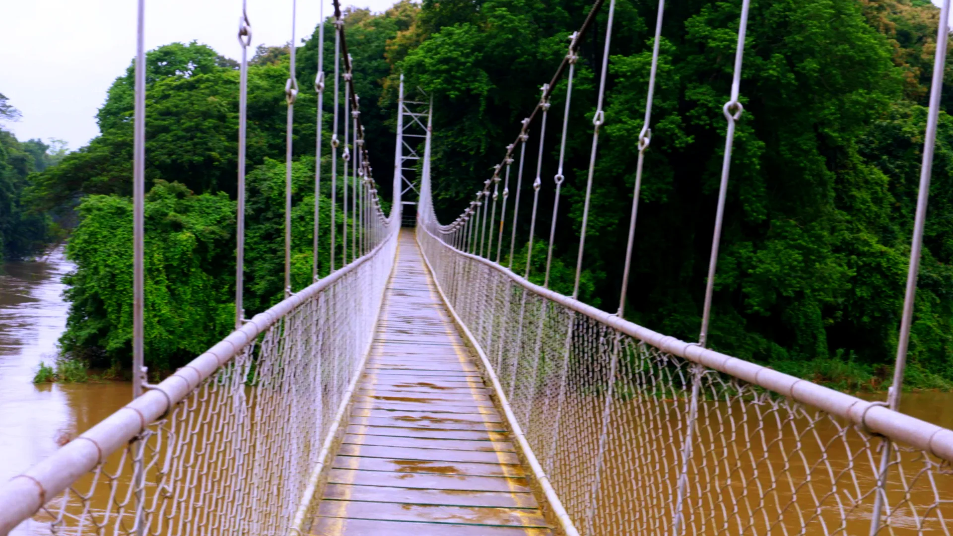 Hanging Bridge, Nilambur