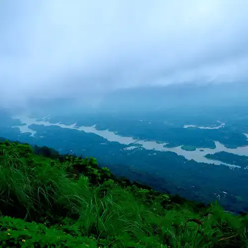 Ilavazhapoonchira