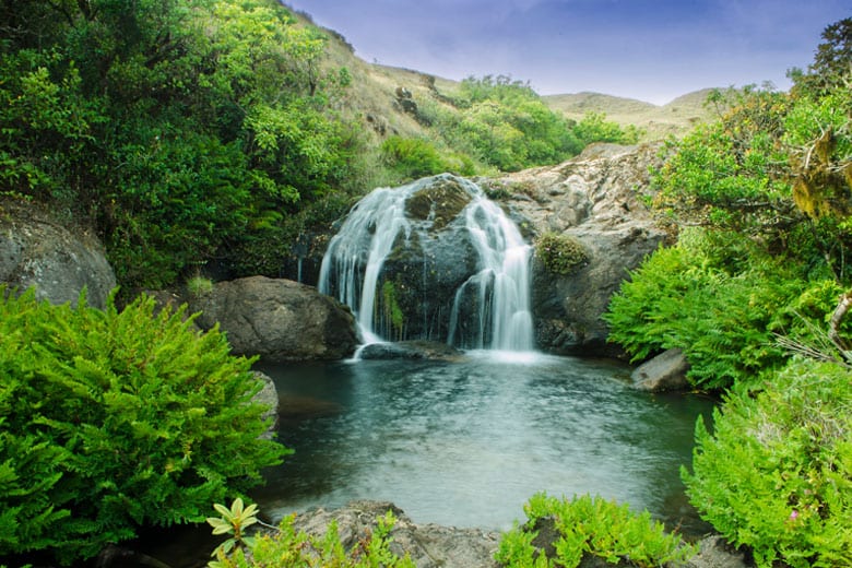 Park Entry Pack -5 (Lakkom Falls Visit) at Eravikulam National Park - Photo 4