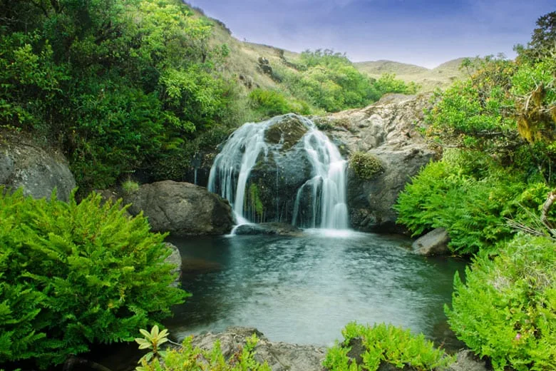 Park Entry Pack -5 (Lakkom Falls Visit) at Eravikulam National Park - Photo 4