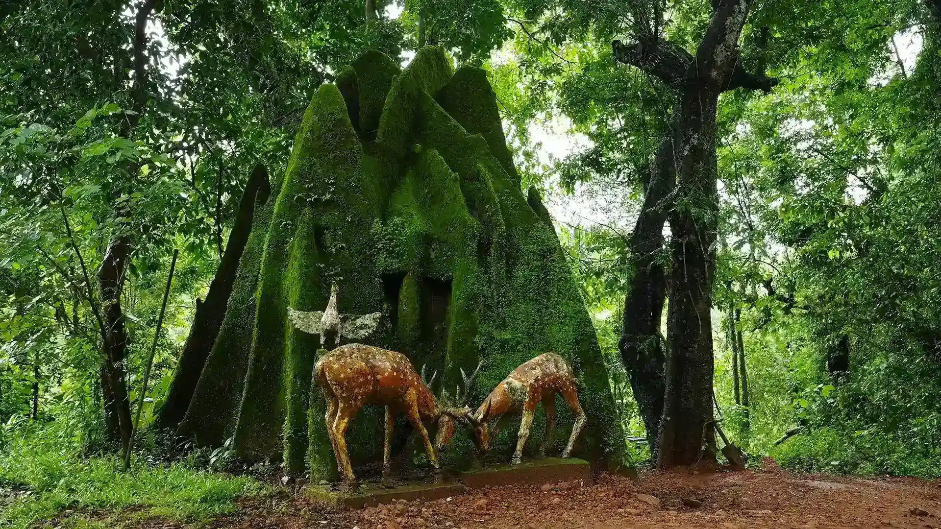 Sight seeing, jungle walk at Janakikkadu