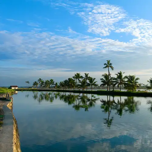 Kadamakkudy Islands