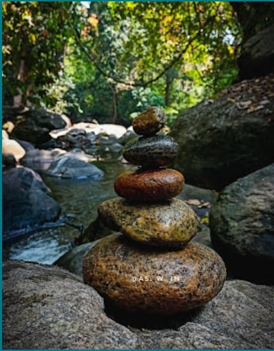 Sightseeing, Jungle Walk at Kakkad