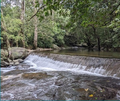 Sightseeing, Jungle Walk at Kakkad - Photo 2