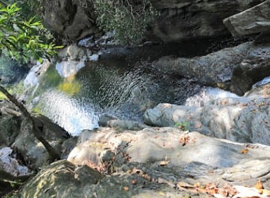 Sightseeing, Jungle Walk at Kakkad - Photo 3