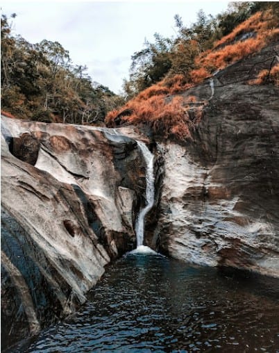 Sightseeing, jungle walk at Kakkavayal