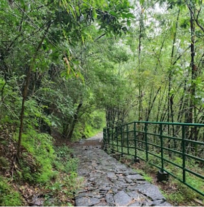 Sightseeing, jungle walk at Kakkavayal - Photo 2