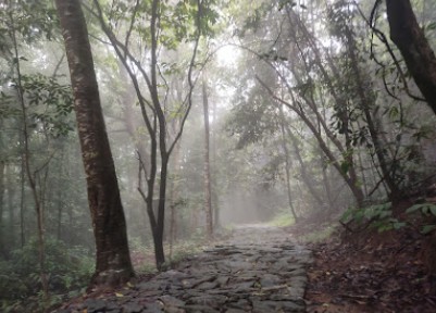 Sight seeing, Urakuzhi Water fall, dam at Kakkayam