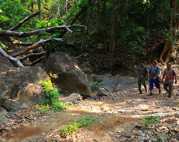 Keeripara Trekking at Silent Valley National Park - Photo 2