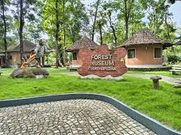 Forest Museum at Kulathupuzha