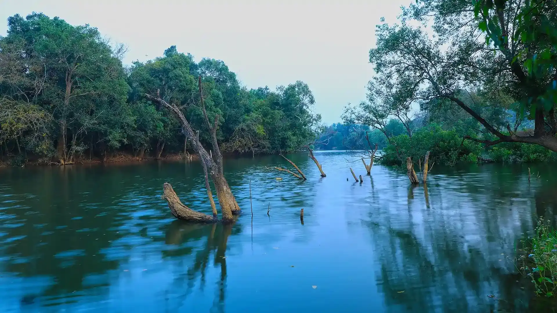 Kuruva Island