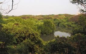 Mangalavanam Bird Sacnctuary -Sight Seeing at Mangalavanam Bird Sanctuary