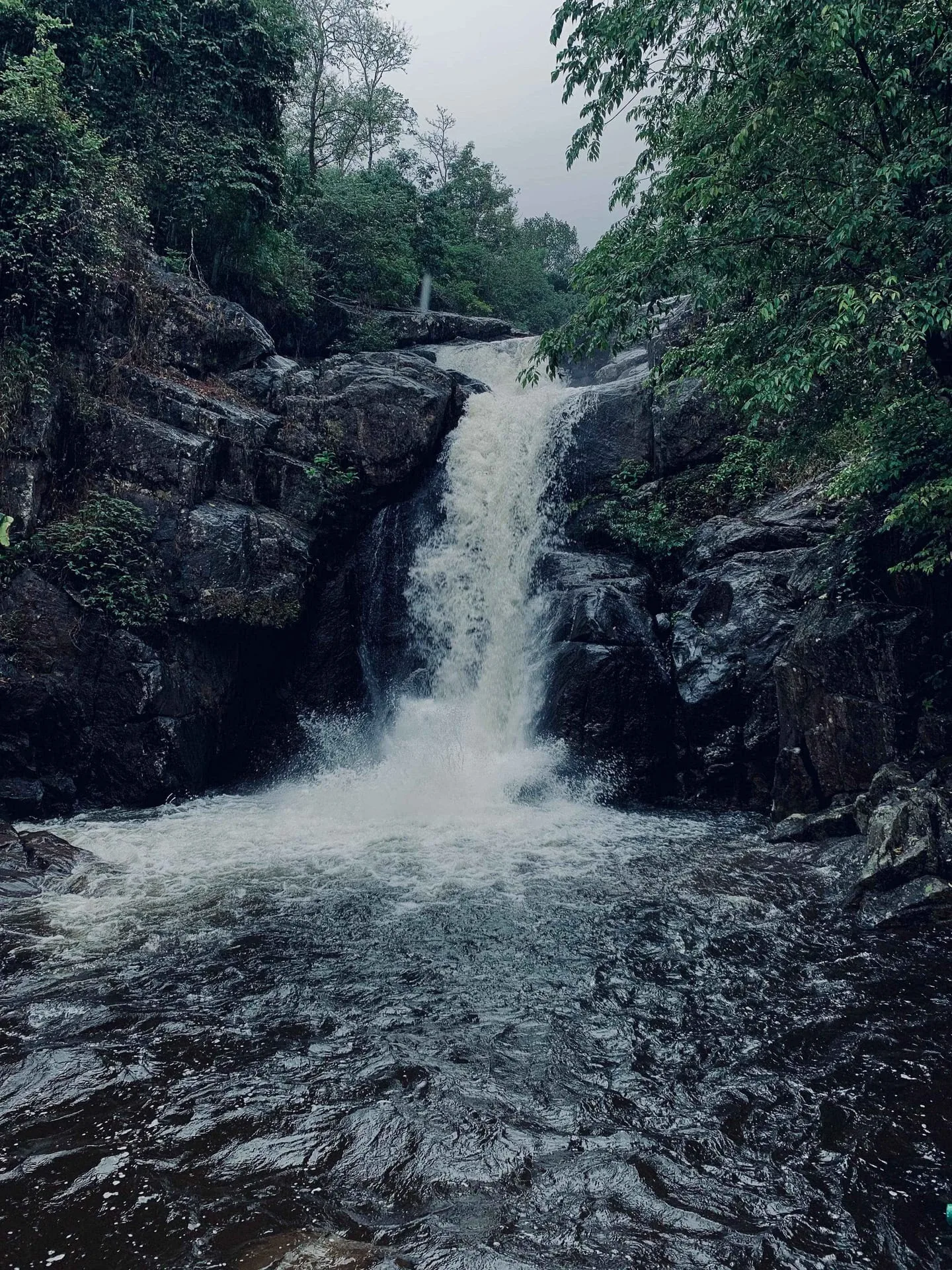 Makkiyad Meenmutty at Meenmutty