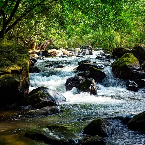 Meenvallam Water Falls at Meenvallam