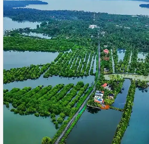 Monroe Island