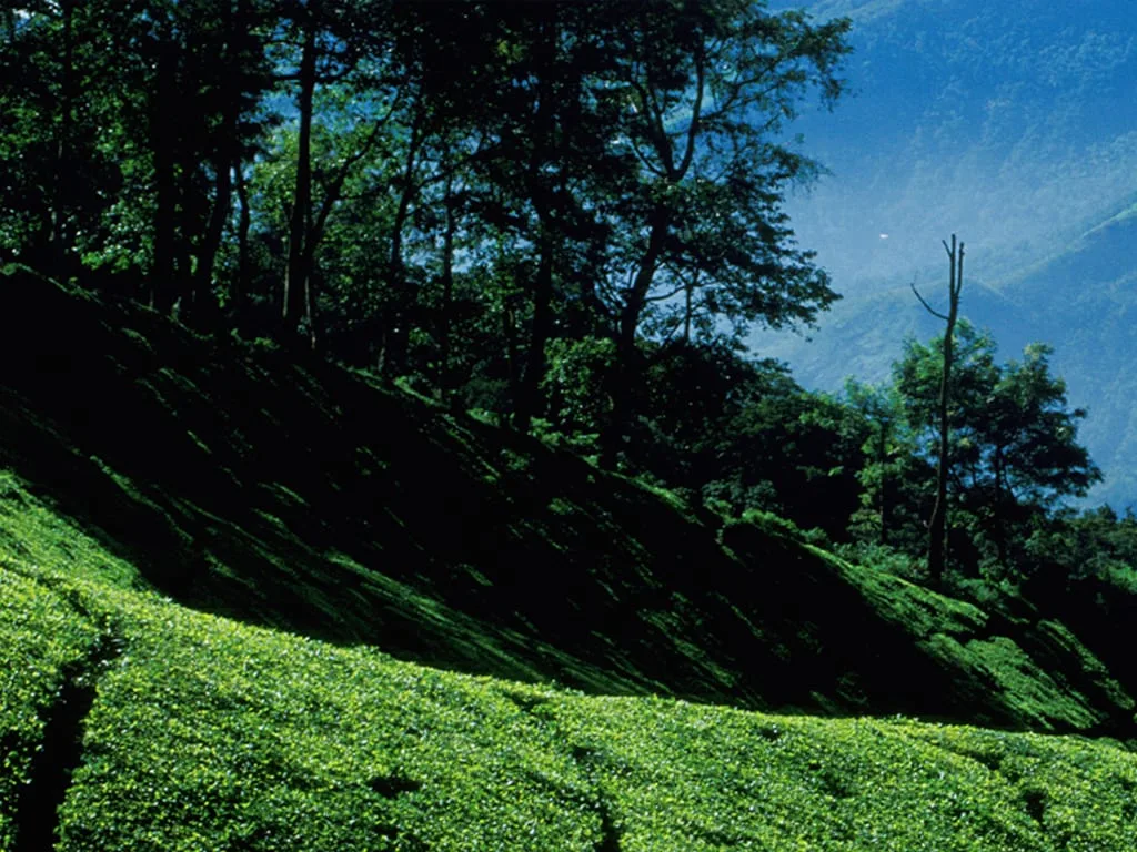 Idukki