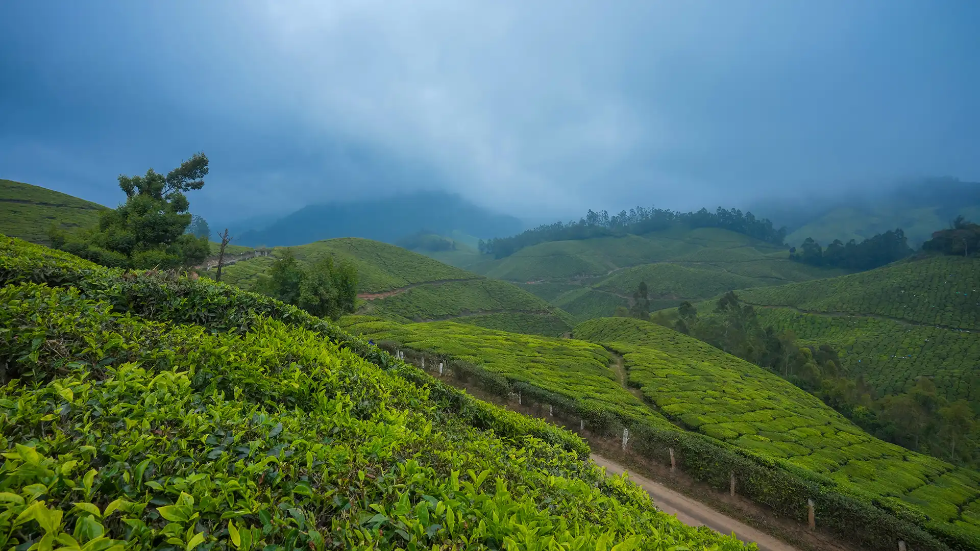 Munnar
