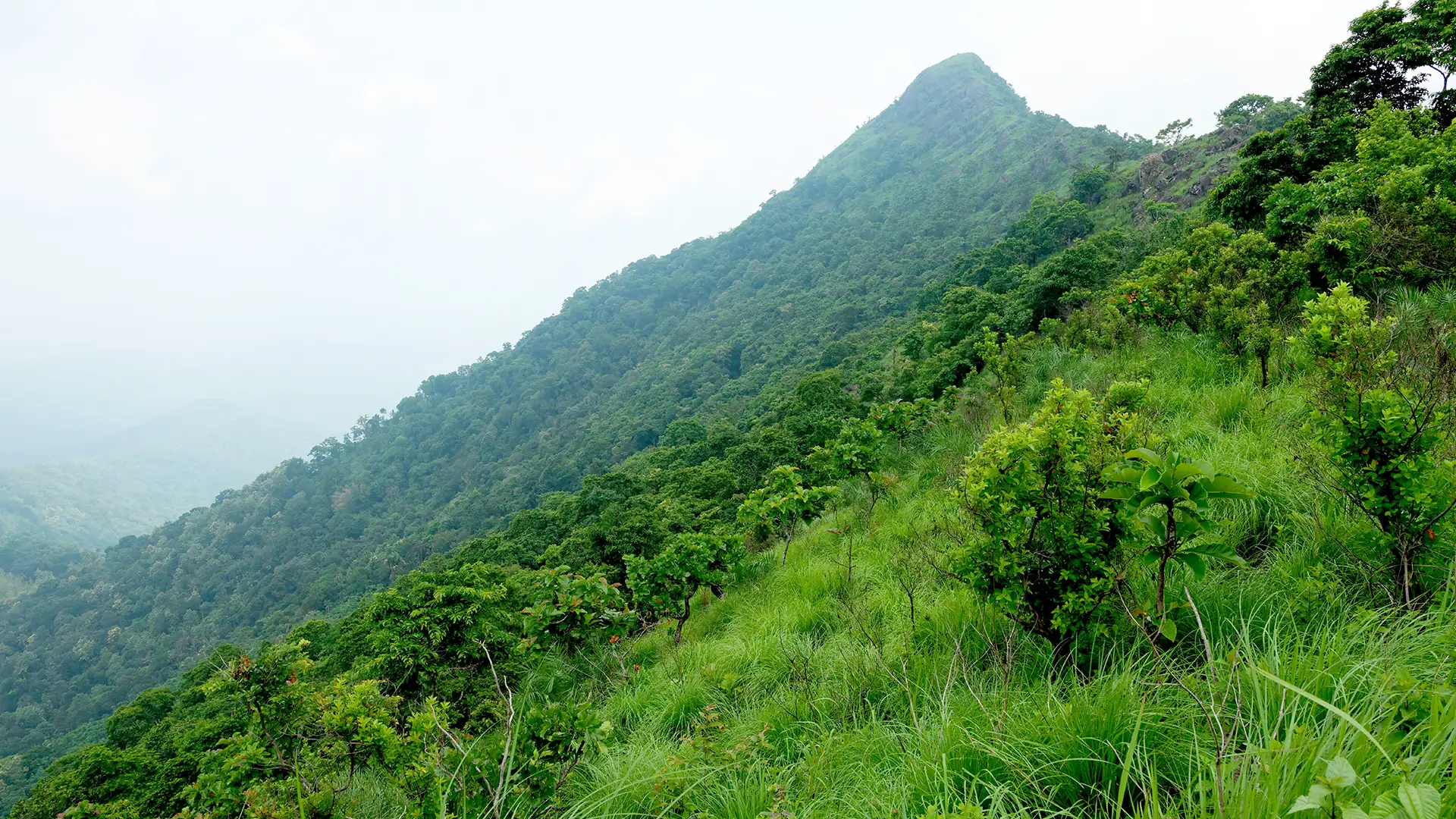 Muthukora Hills