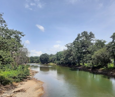 Nedumkayam Rainforest at Nedumkayam - Photo 3