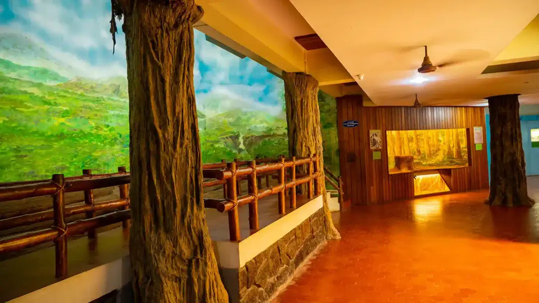 Teak Museum, Nilambur