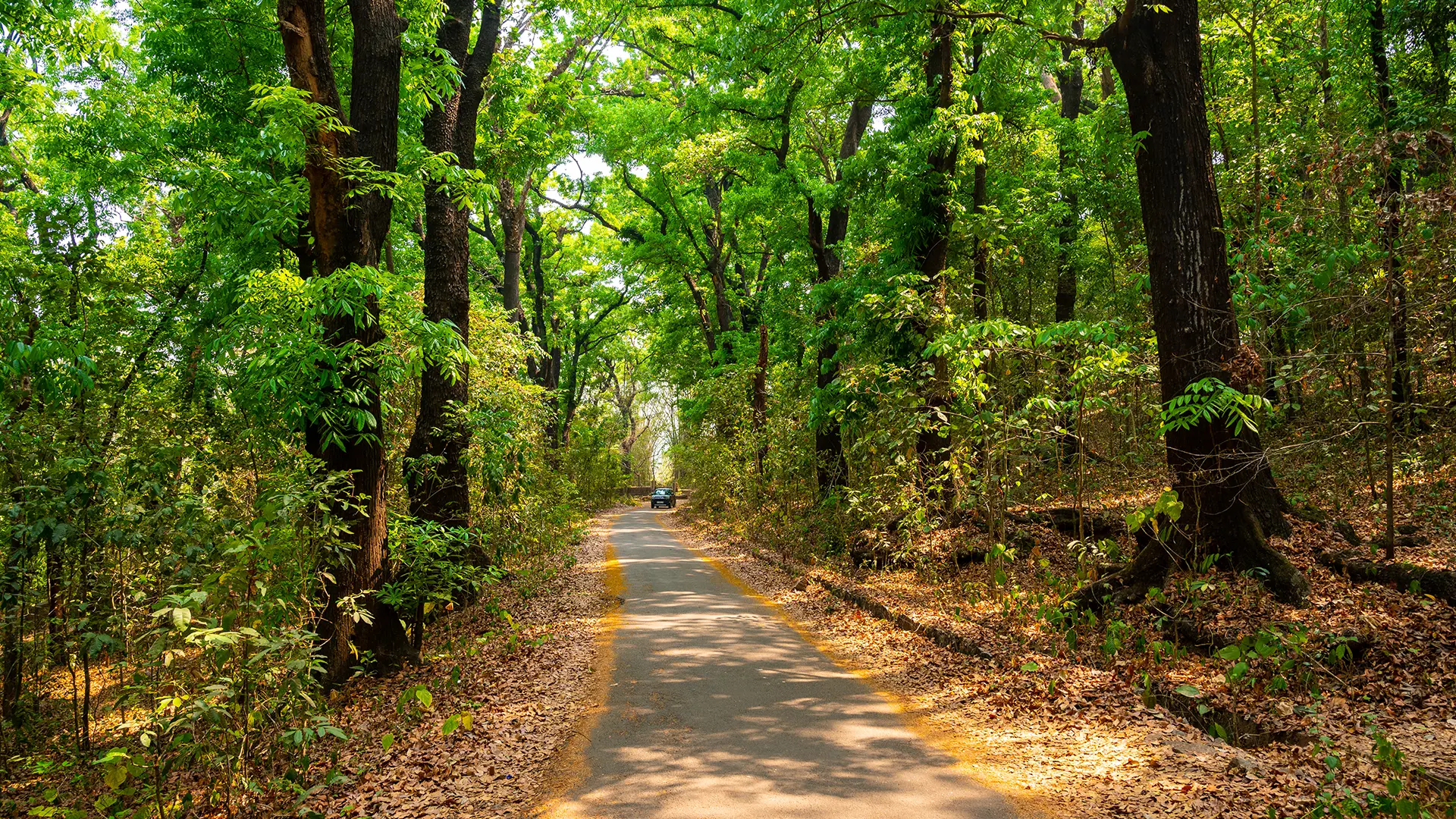 Nilambur