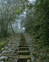 Paithalmala Manjapullu Trekking at Manjapullu- Paithalmala - Photo 2