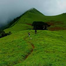 Paithalmala Manjapullu Trekking at Manjapullu- Paithalmala - Photo 3