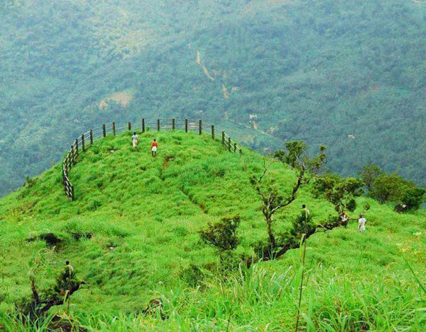 Paithalmala Manjapullu Trekking at Manjapullu- Paithalmala - Photo 4