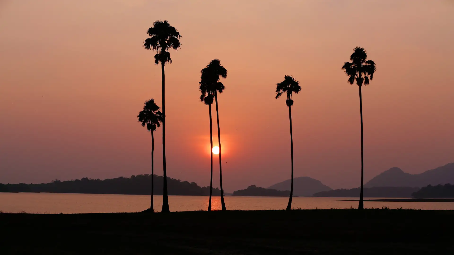 Palakkad