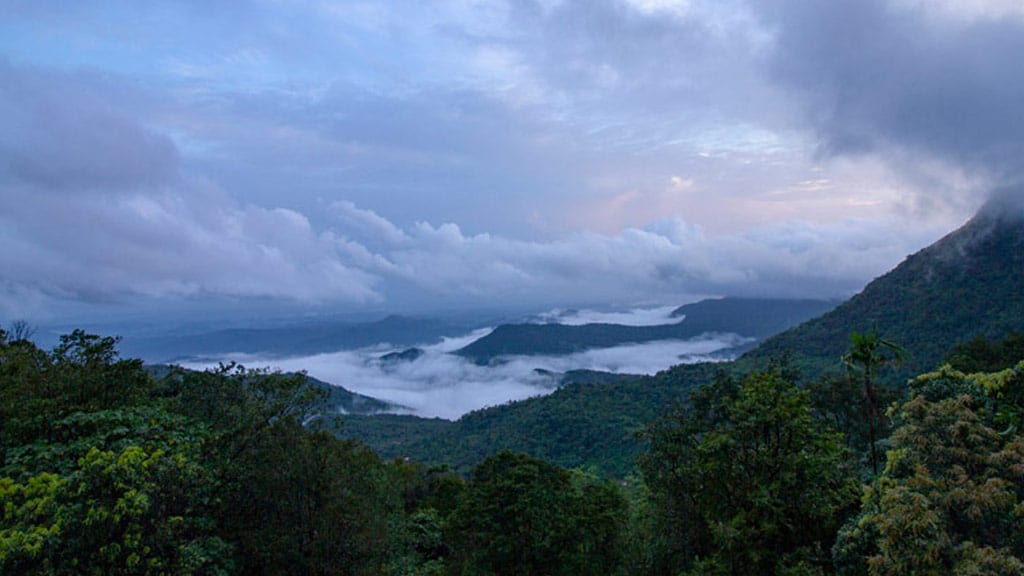 Palakkayam Thattu