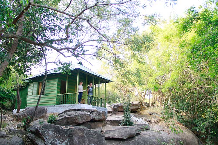 Park Entry Pack-15 ( Pambar Loghouse) at Chinnar Wildlife Sanctuary