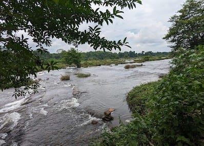 River & Sight Seeing at Panamkuzhy - Photo 2