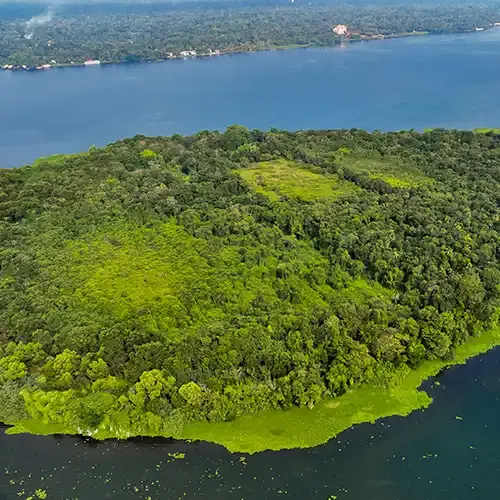Pathiramanal Island